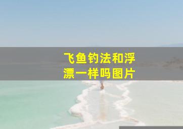 飞鱼钓法和浮漂一样吗图片