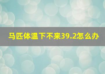 马匹体温下不来39.2怎么办