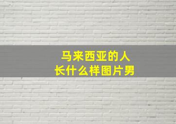 马来西亚的人长什么样图片男