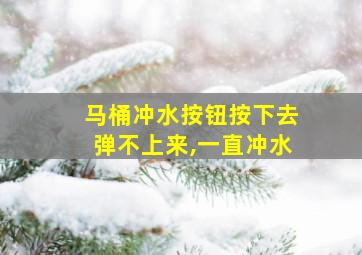 马桶冲水按钮按下去弹不上来,一直冲水