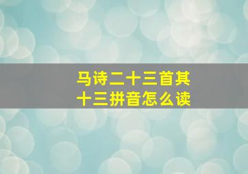 马诗二十三首其十三拼音怎么读