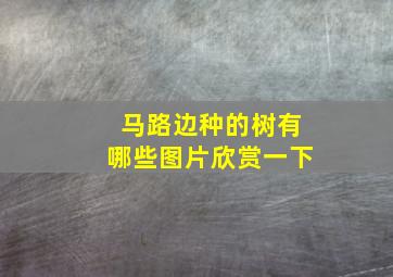 马路边种的树有哪些图片欣赏一下