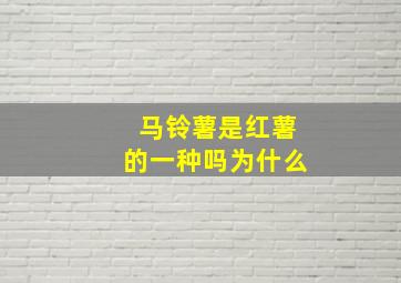 马铃薯是红薯的一种吗为什么