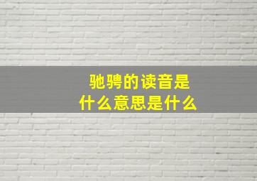 驰骋的读音是什么意思是什么