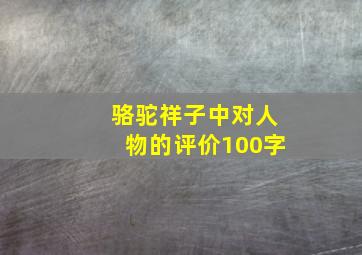 骆驼祥子中对人物的评价100字