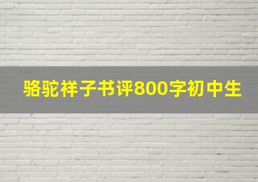 骆驼祥子书评800字初中生