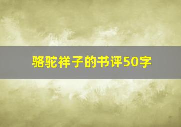 骆驼祥子的书评50字