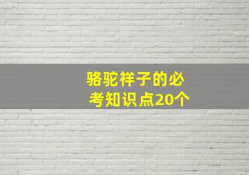 骆驼祥子的必考知识点20个