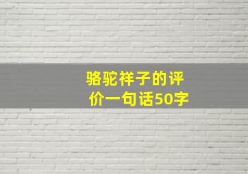 骆驼祥子的评价一句话50字