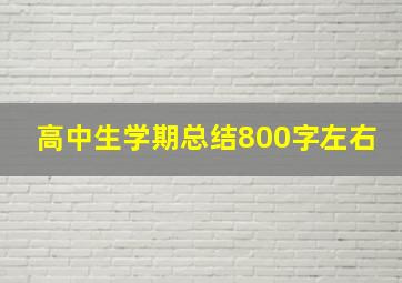 高中生学期总结800字左右