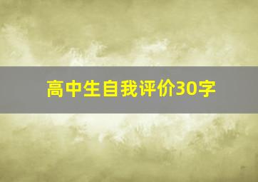 高中生自我评价30字