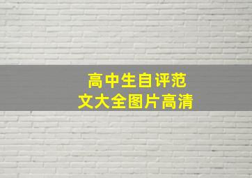 高中生自评范文大全图片高清