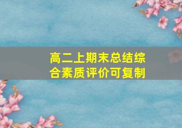 高二上期末总结综合素质评价可复制