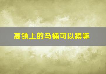 高铁上的马桶可以蹲嘛