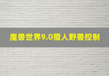 魔兽世界9.0猎人野兽控制