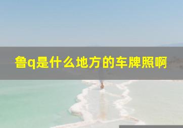 鲁q是什么地方的车牌照啊