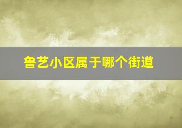 鲁艺小区属于哪个街道