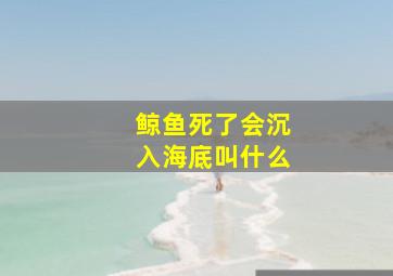 鲸鱼死了会沉入海底叫什么