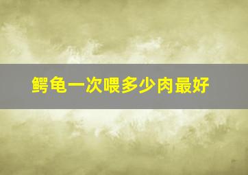 鳄龟一次喂多少肉最好