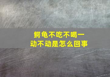 鳄龟不吃不喝一动不动是怎么回事