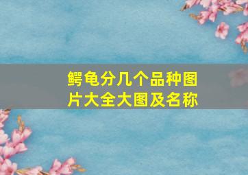 鳄龟分几个品种图片大全大图及名称