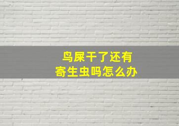 鸟屎干了还有寄生虫吗怎么办