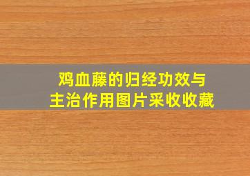 鸡血藤的归经功效与主治作用图片采收收藏