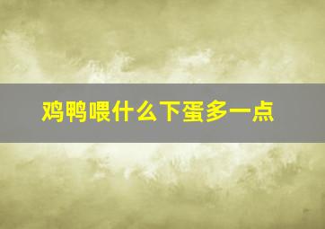 鸡鸭喂什么下蛋多一点