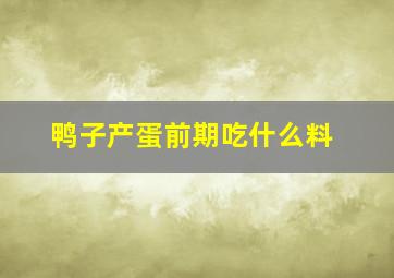 鸭子产蛋前期吃什么料