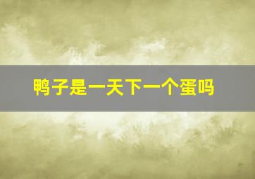 鸭子是一天下一个蛋吗