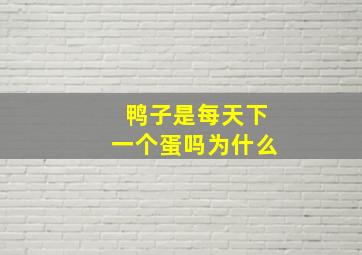 鸭子是每天下一个蛋吗为什么