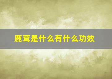 鹿茸是什么有什么功效