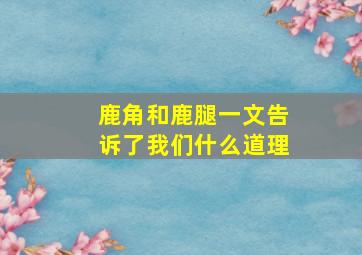 鹿角和鹿腿一文告诉了我们什么道理