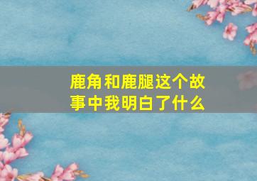 鹿角和鹿腿这个故事中我明白了什么