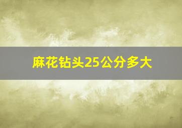 麻花钻头25公分多大