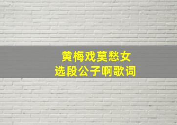 黄梅戏莫愁女选段公子啊歌词