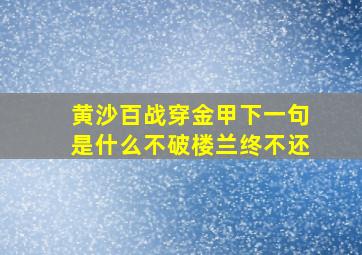 黄沙百战穿金甲下一句是什么不破楼兰终不还