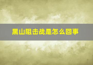 黑山阻击战是怎么回事