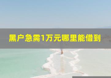 黑户急需1万元哪里能借到