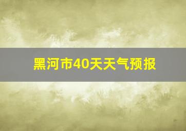 黑河市40天天气预报