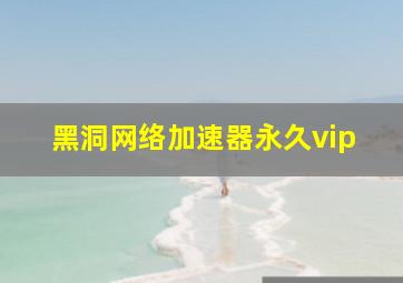 黑洞网络加速器永久vip