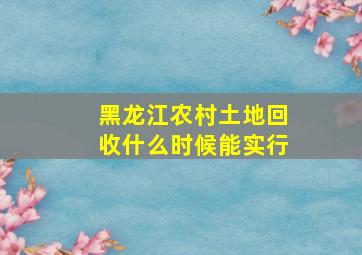 黑龙江农村土地回收什么时候能实行