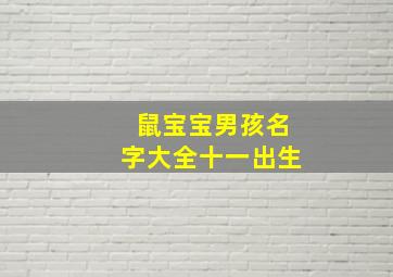 鼠宝宝男孩名字大全十一出生