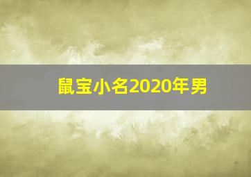 鼠宝小名2020年男