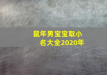 鼠年男宝宝取小名大全2020年