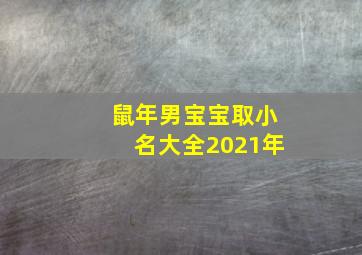 鼠年男宝宝取小名大全2021年