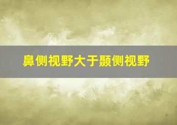 鼻侧视野大于颞侧视野