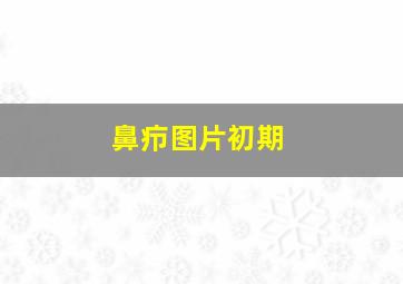 鼻疖图片初期